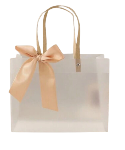 Gift Bag w/ Gold Ribbon