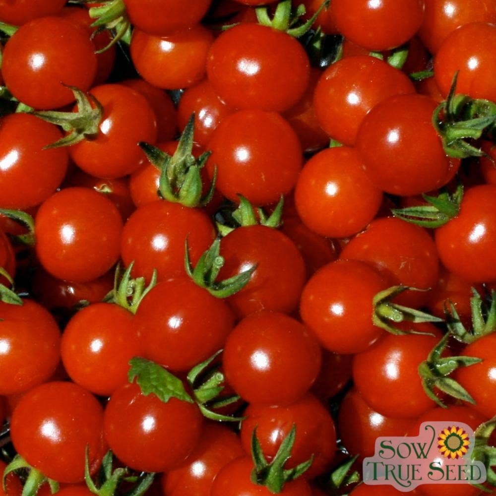 Cherry Tomato Seeds - Cherry Sweetie, ORGANIC