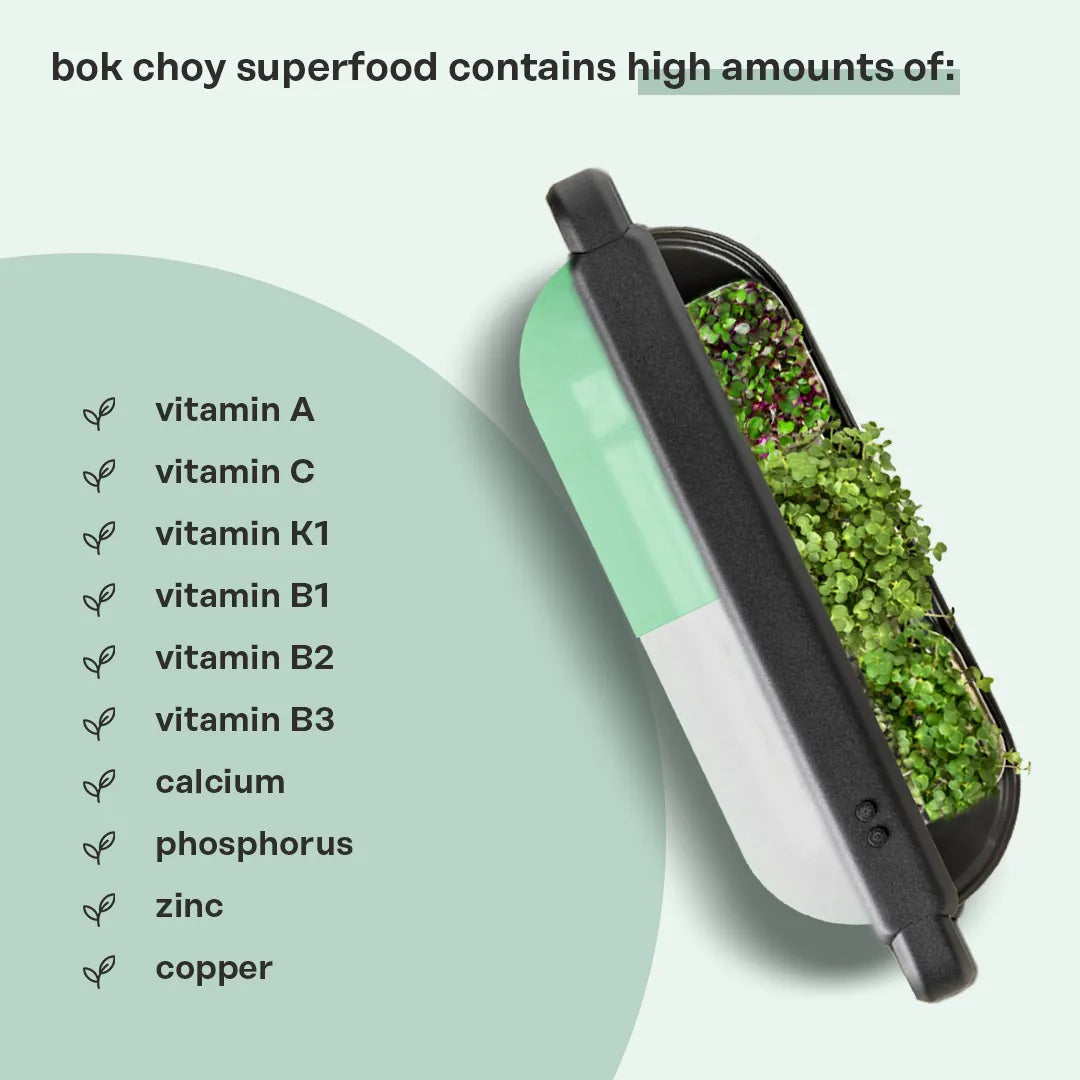 Bok Choy Superfood (Vitamin K Booster)
